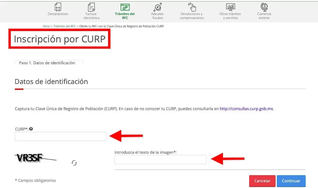 Sacar RFC con CURP paso 3