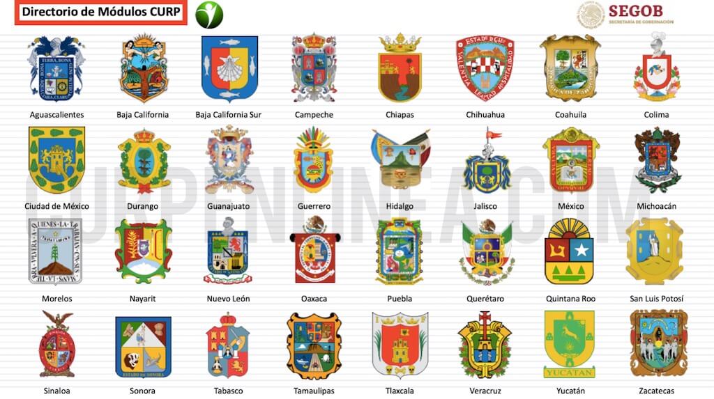 modulos para corregir curp