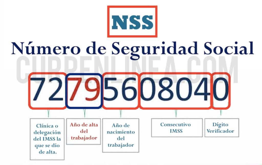 Nss Con Curp 2024 ¿cómo Sacar El Número Del Imss Con Curp 4223