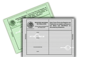 diferencias entre curp blanca y curp verde